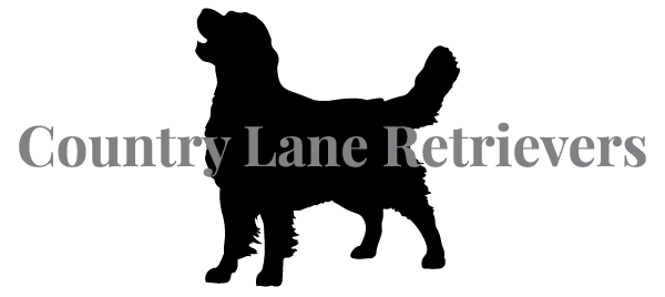 Country Lane Retrievers